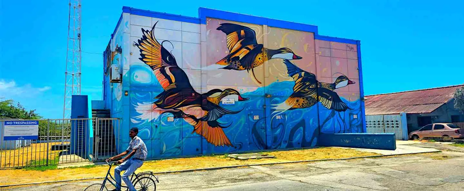 Flying Free