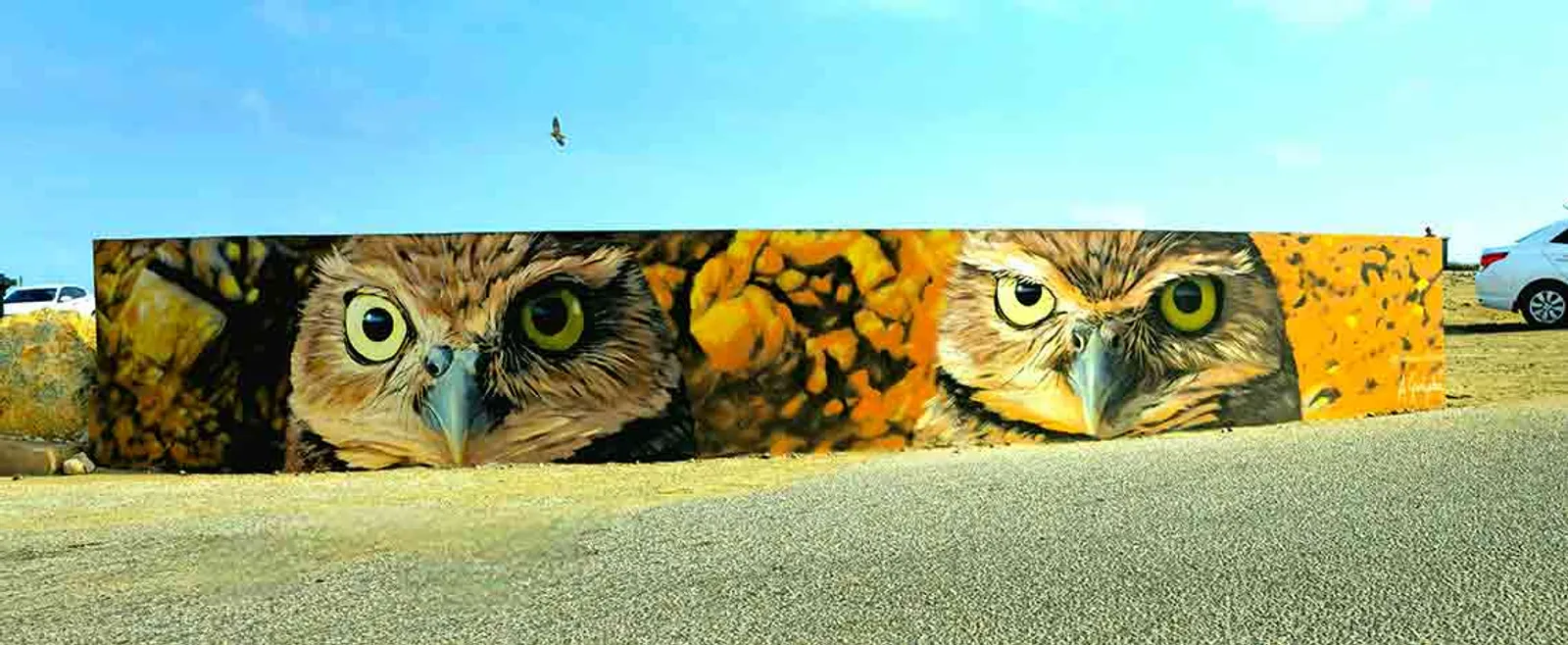 Shoco Mural