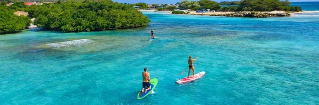 Stand Up Paddle Board Rental