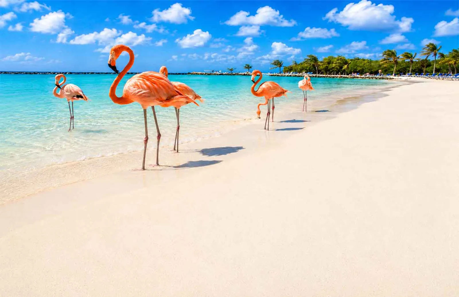 Renaissance Island