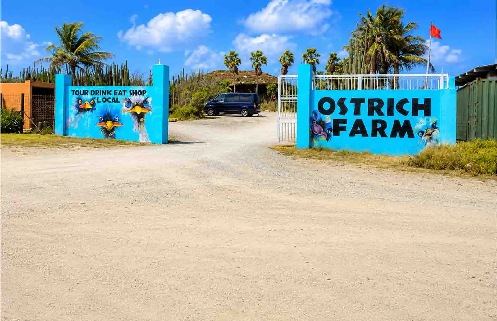 Ostrich Farm