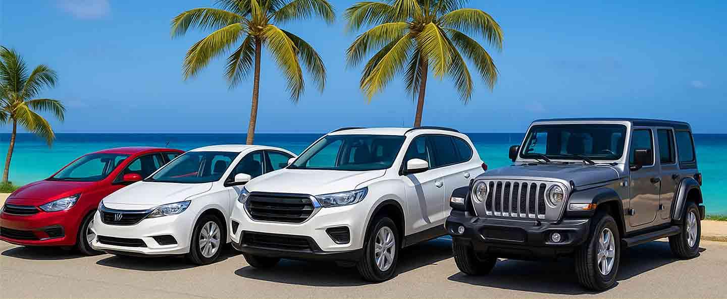 Car Rentals