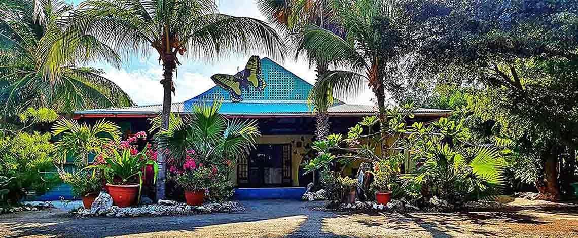 Butterfly Farm