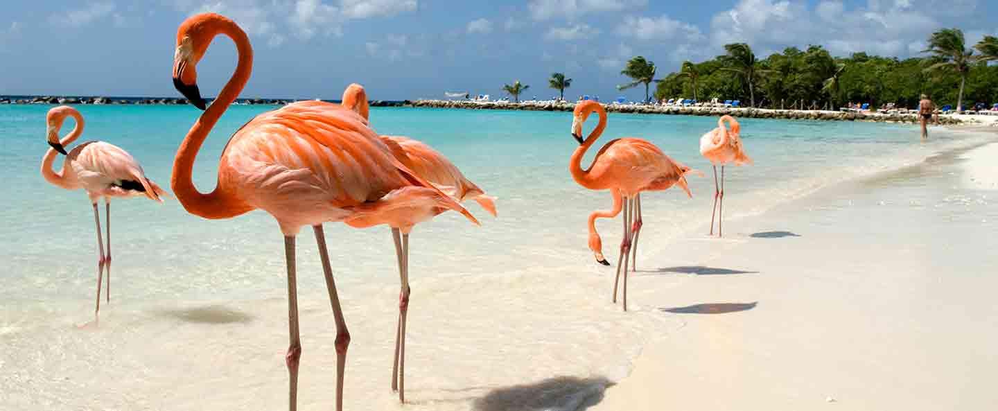 Renaissance Island