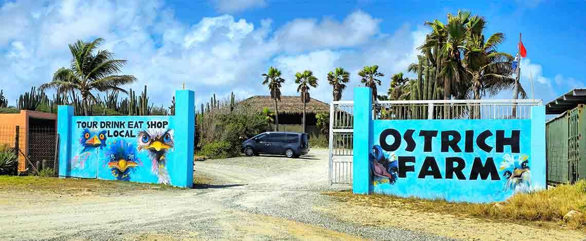 Ostrich Farm